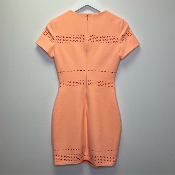 Elizabeth and James Laser Cutout Ari Dress Size 4 - Picture 11 of 17